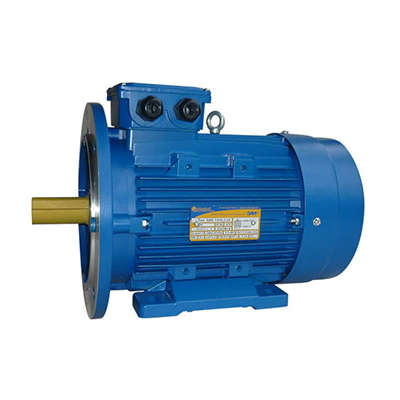 Электродвигатель 5АИ 100 L6 2.2/1000 IM 2081 Элком 01.01.213620