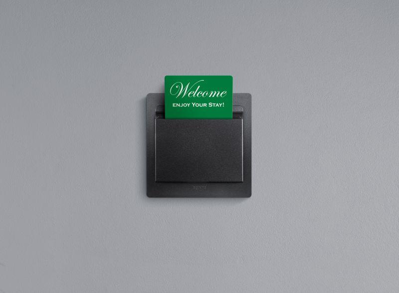 Выключатель карточный 1-кл. СП Etika 2А IP20 с выдержкой времени и подсветкой для гостиничных номеров механизм антрацит Leg 672693