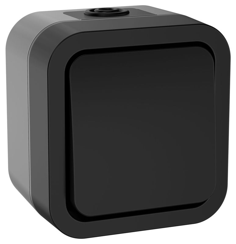 Выключатель кнопочный 1-кл. ОП TORS TS110 10А IP55 графит IEK TS-V14-0-10-55-K53