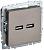 Розетка BRITE USB A+A 3.1А РЮ10-1-БрШ шампань IEK BR-U21-D31-K37