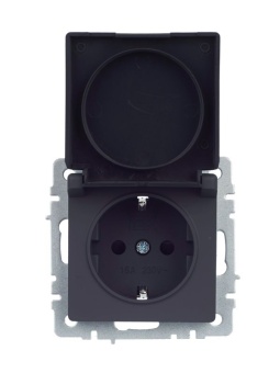 Розетка BRITE РСбш10-3-44-БрГ 16А IP44 с заземл. защ. шторки с крышкой механизм графит IEK BR-R16-16-44-K53