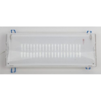 Светильник светодиодный DPA-301-1-65 IP65 40LED 3ч аварийный постоянный Эра Б0051843