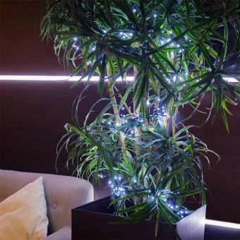 Гирлянда светодиодная "Кластер LED" 3м 288LED бел. 14Вт 220-240В IP20 провод ПВХ темн. зел. Neon-Night 303-625
