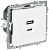 Розетка СП BRITE РЮ11-2-БрАБ USB A+C 45Вт высокоскор. заряд. арктич. бел. IEK BR-U22-045-K91