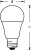 Лампа светодиодная LED Value LVCLA125 15SW/865 15Вт грушевидная матовая E27 230В 10х1 RU OSRAM 4058075579217