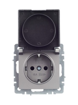 Розетка BRITE РСбш10-3-44-БрС 16А IP44 с заземл. защ. шторки с крышкой механизм сталь IEK BR-R16-16-44-K46