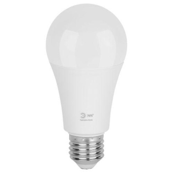 Лампа светодиодная GREEN LINE A60-25W-865-E27 GL 25Вт груша 6500К свет холод. E27 Эра Б0067111