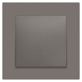 Переключатель 1-кл. СП Accent 6-103-09 10А IP20 250В AL/CU титан Intro Б0063451