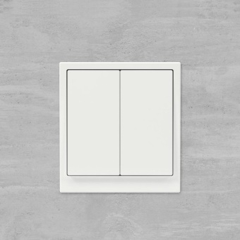 Инвертор 2-кл. KANT бел. магнолия DKC 7000124