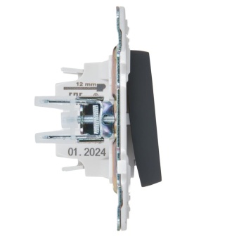 Выключатель 1-кл. SKANDY 10А SK-V07G с индикацией графит IEK SK-V10-1-10-K53