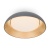 Светильник Moonlight 62Вт IP20 потолочн. Freya FR5277CL-L72GR