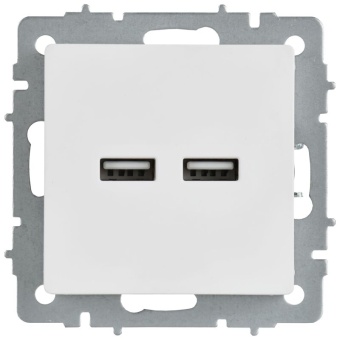 Розетка BRITE РЮ10-1-БрАБ USB A+A 3.1А механизм арктич. бел. IEK BR-U21-D31-K91