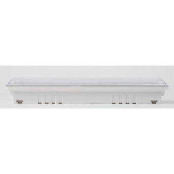 Светильник светодиодный DPA-301-1-65 IP65 40LED 3ч аварийный постоянный Эра Б0051843