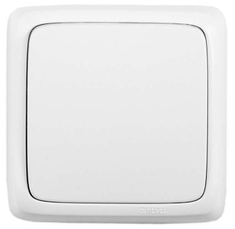 Выключатель 1-кл. ОП Альфа 16А IP20 250В с монтаж. пластиной бел. HEGEL ВА16-115