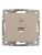 Розетка компьютерная СП Rain RJ45 16А IP20 механизм крем. LEZARD 703-0388-139 Розетка компьютерная СП Rain RJ45 16А IP20 механизм крем. LEZARD 703-0388-139