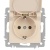 Розетка 1-м СП Accent 6-203-02 16А IP20 250В 2P+E Schuko с крышкой сл.кость Intro Б0063716