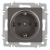 Розетка 1-м СП Accent 6-202-09 16А IP20 250В 2P+E Schuko титан Intro Б0063701 Розетка 1-м СП Accent 6-202-09 16А IP20 250В 2P+E Schuko титан Intro Б0063701