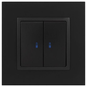 Выключатель 2-кл. СП Elegance 14-1105-05 10А IP20 250В 10AX с подсветкой механизм антрацит Эра Б0034241