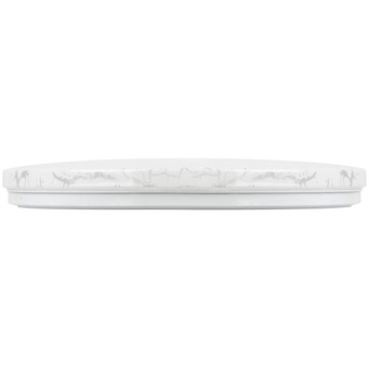 Светильник светодиодный SPB-6 Slim Frost 70W-6.5K 70Вт 6500К IP20 5250лм без ДУ Эра Б0071146
