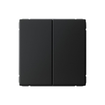 Переключатель 2-кл. ArtGallery 10AX быстрозажим. клем. механизм карбон SE GAL001065S