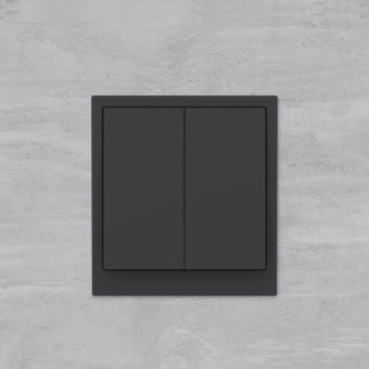 Инвертор 2-кл. KANT черн. уголь DKC 7012124