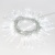 Гирлянда светодиодная "Кисточки" 5м 48LED бел. 2Вт IP20 Neon-Night 303-035 Гирлянда светодиодная "Кисточки" 5м 48LED бел. 2Вт IP20 Neon-Night 303-035