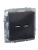 Розетка BRITE USB A+A 3.1А РЮ10-1-БрГ механизм графит IEK BR-U21-D31-K53