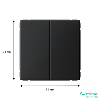 Переключатель 2-кл. ArtGallery 10AX быстрозажим. клем. механизм карбон SE GAL001065S