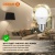 Лампа светодиодная LED Value P 12Вт 4000К нейтр. бел. E27 960лм P матов. пластик 220-240В (замена 100Вт) OSRAM 4099854309137