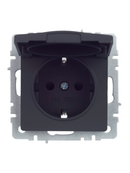 Розетка BRITE РСбш10-3-44-БрГ 16А IP44 с заземл. защ. шторки с крышкой механизм графит IEK BR-R16-16-44-K53